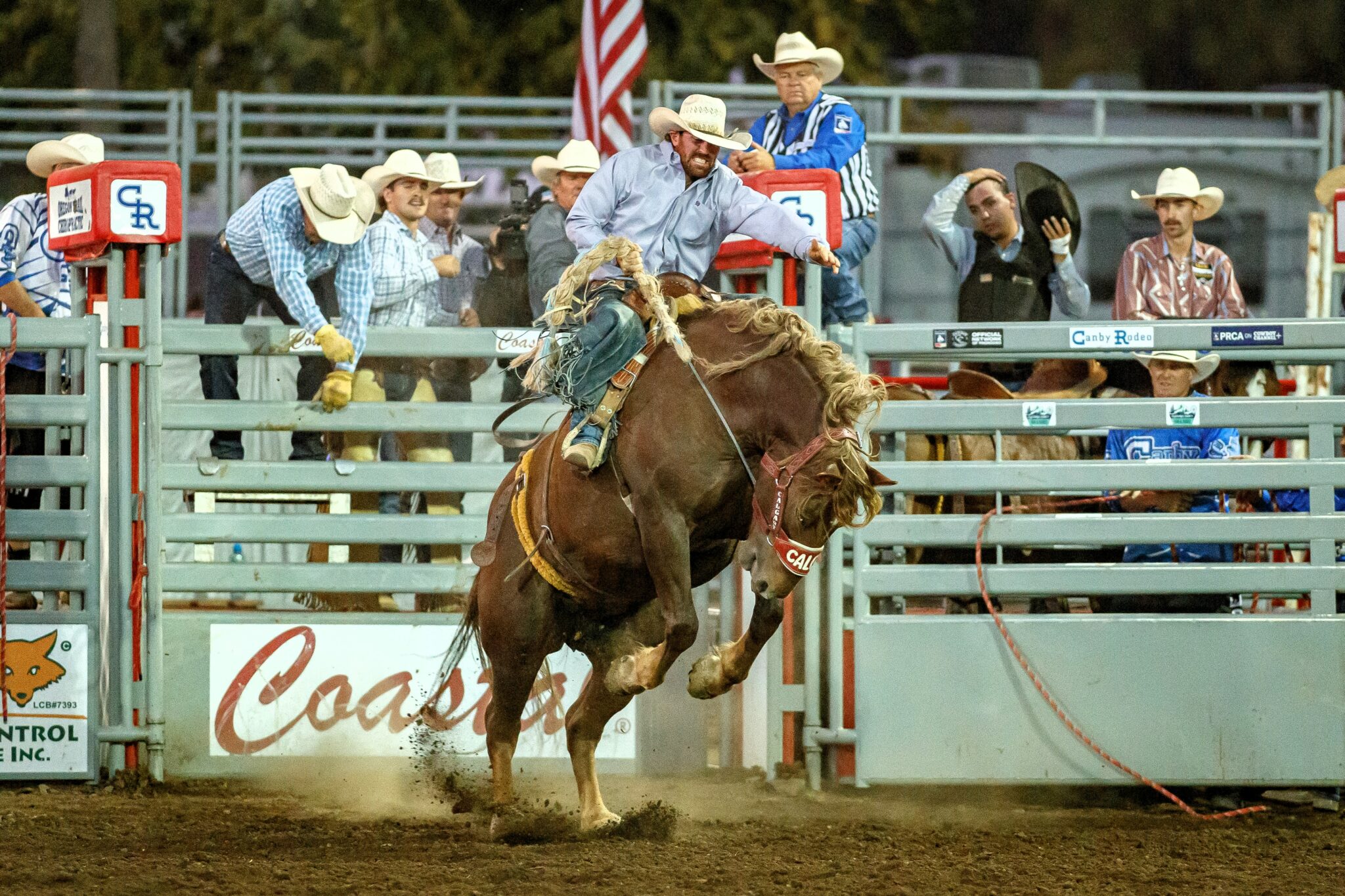 A New Chapter in Rodeo Excellence: Unveiling Our Arena's New Bucking ...