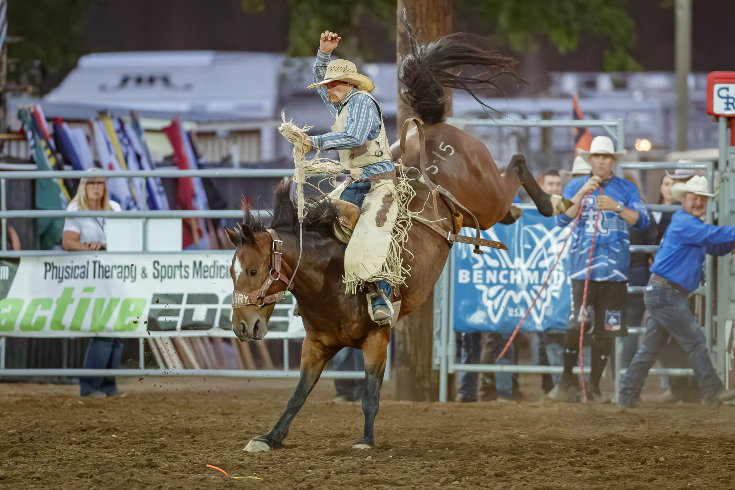 Bronc Rider